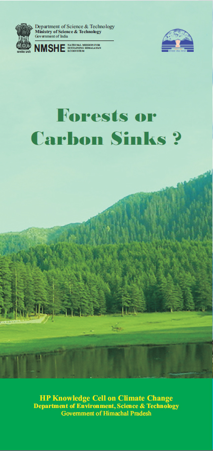 Forests or carbon sinks